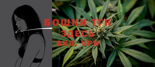ешки Верхний Тагил