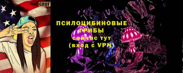 ешки Верхний Тагил