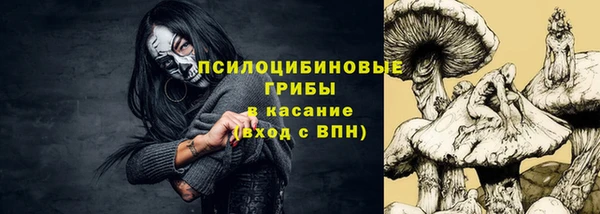ешки Верхний Тагил