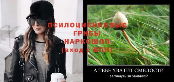 марки nbome Верея