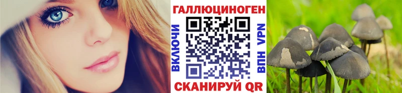 Галлюциногенные грибы Psilocybine cubensis  дарнет шоп  Нарткала 