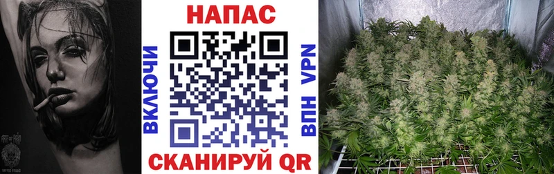 Конопля VHQ Нарткала
